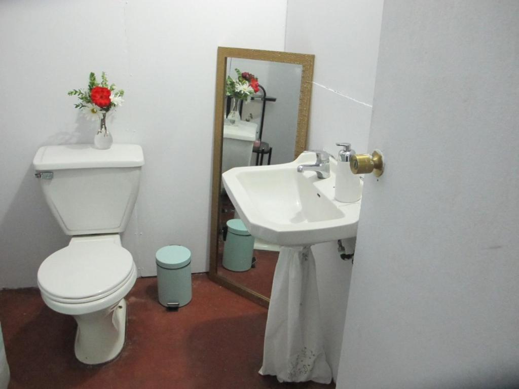 Habitaciones Centro 普孔 外观 照片