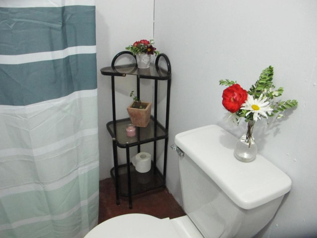 Habitaciones Centro 普孔 外观 照片