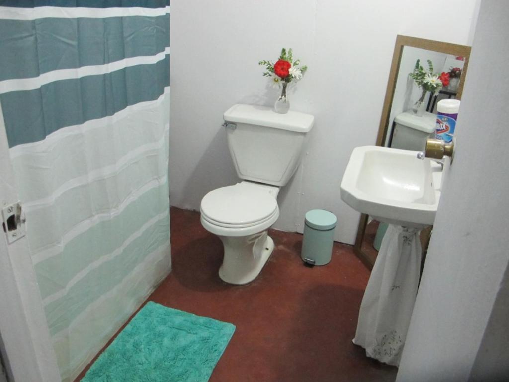 Habitaciones Centro 普孔 外观 照片